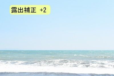 D5500-露出補正+2 D5500-露出補正+2