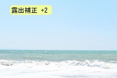 D5500-露出補正+2 D5500-露出補正+2