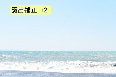D5500-露出補正+2 D5500-露出補正+2