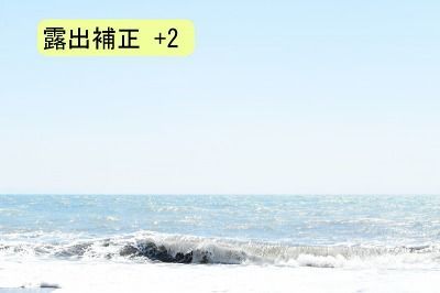 D5500-露出補正+2 D5500-露出補正+2