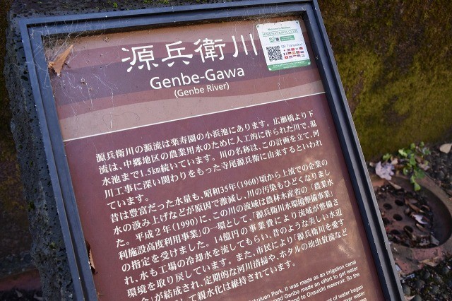 源兵衛川 源兵衛川