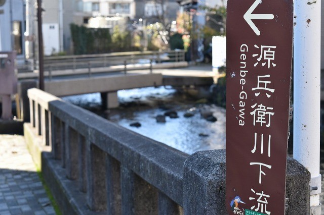 源兵衛川 源兵衛川
