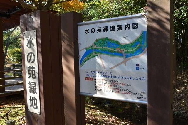 水の苑緑地 水の苑緑地