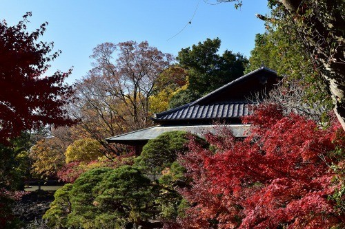 楽寿館 楽寿館
