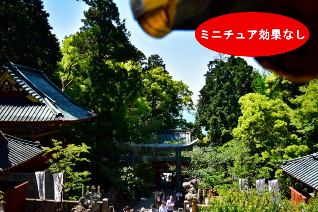 ニコンカメラ-ミニチュア効果なし ニコンカメラ-ミニチュア効果なし