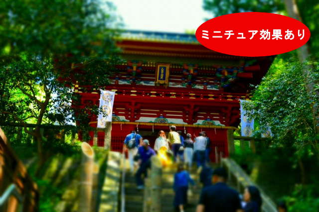 ニコンカメラ-ミニチュア効果あり ニコンカメラ-ミニチュア効果あり