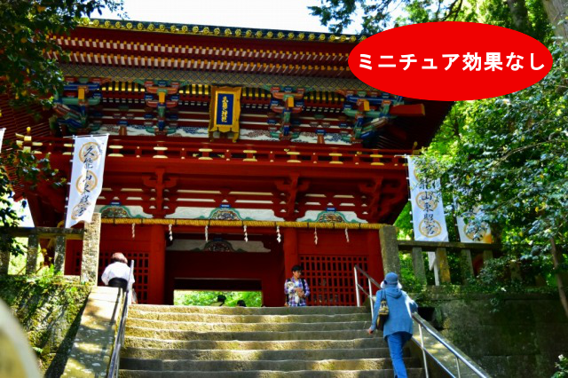 ニコンカメラ-ミニチュア効果なし ニコンカメラ-ミニチュア効果なし