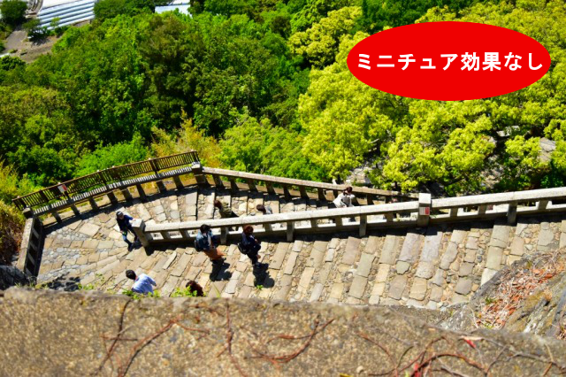 ニコンカメラ-ミニチュア効果なし ニコンカメラ-ミニチュア効果なし