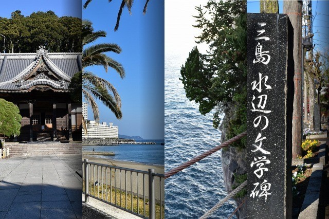 f:id:akiakigogogo:20180521215323j:plain f:id:akiakigogogo:20180521215323j:plain