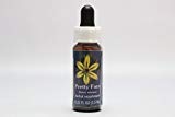 FESフラワーエッセンス クイントフラワーエッセンス プリティフェイス 7.5ml (Flower Essence Society) 日本国内正規品 FESフラワーエッセンス クイントフラワーエッセンス プリティフェイス 7.5ml (Flower Essence Society) 日本国内正規品