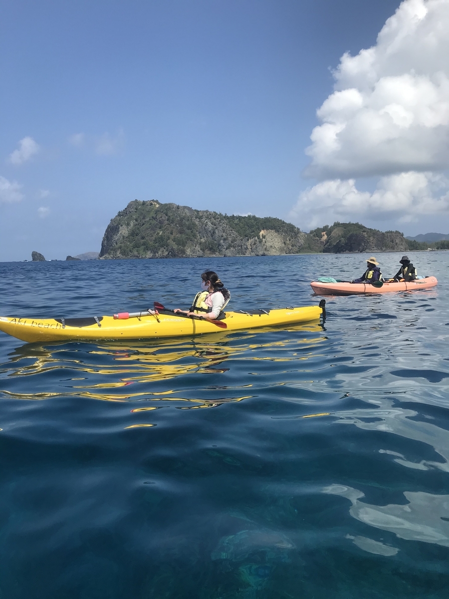 f:id:akibeach2011:20210318194434j:plain