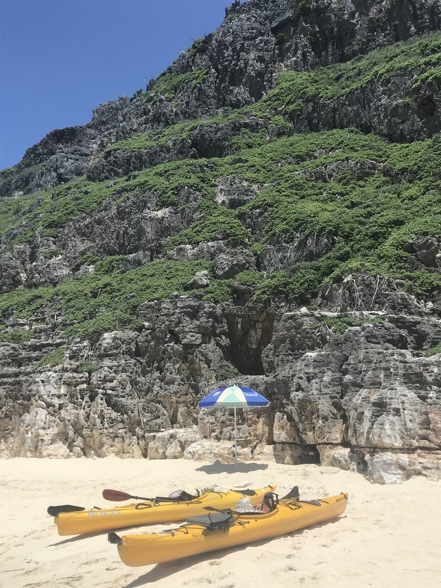f:id:akibeach2011:20210517171401j:plain