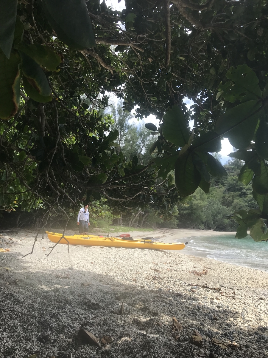 f:id:akibeach2011:20210720162112j:plain