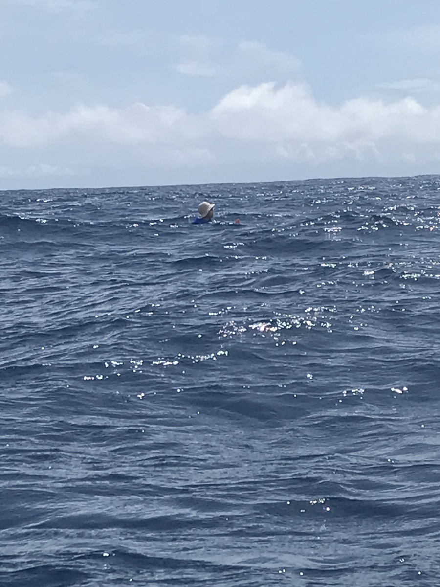 f:id:akibeach2011:20210728185547j:plain