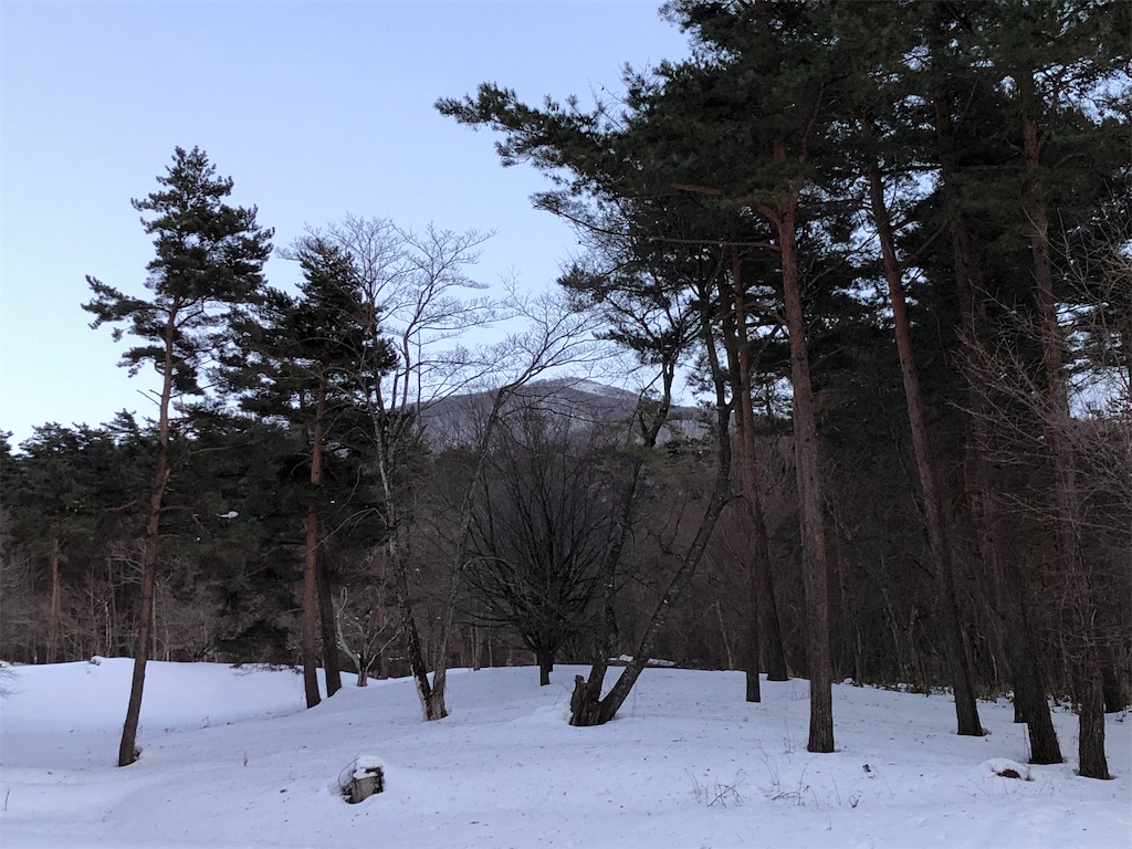 f:id:akibitokun:20220301134314j:image