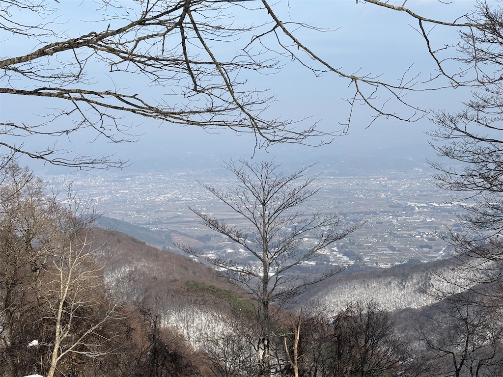 f:id:akibitokun:20250302161457j:image
