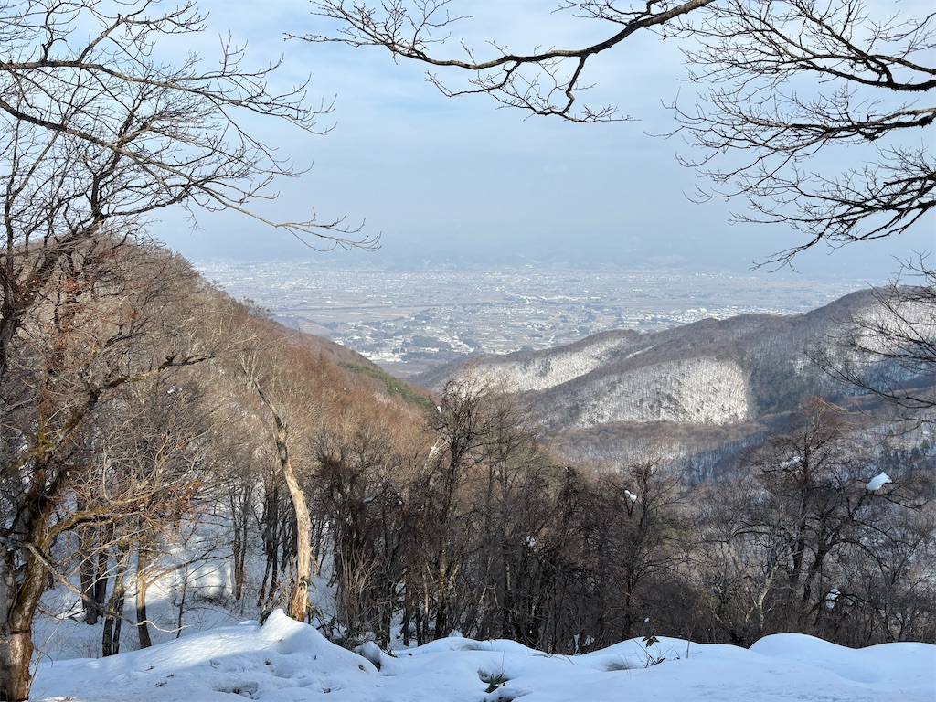 f:id:akibitokun:20250302161544j:image