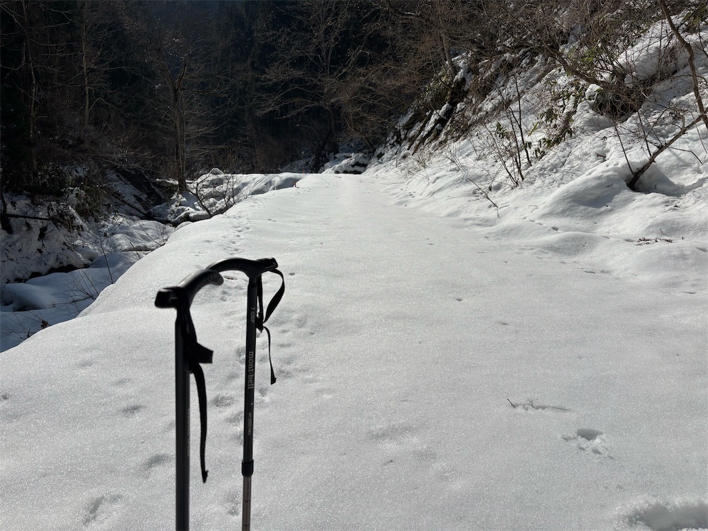 f:id:akibitokun:20250302161605j:image