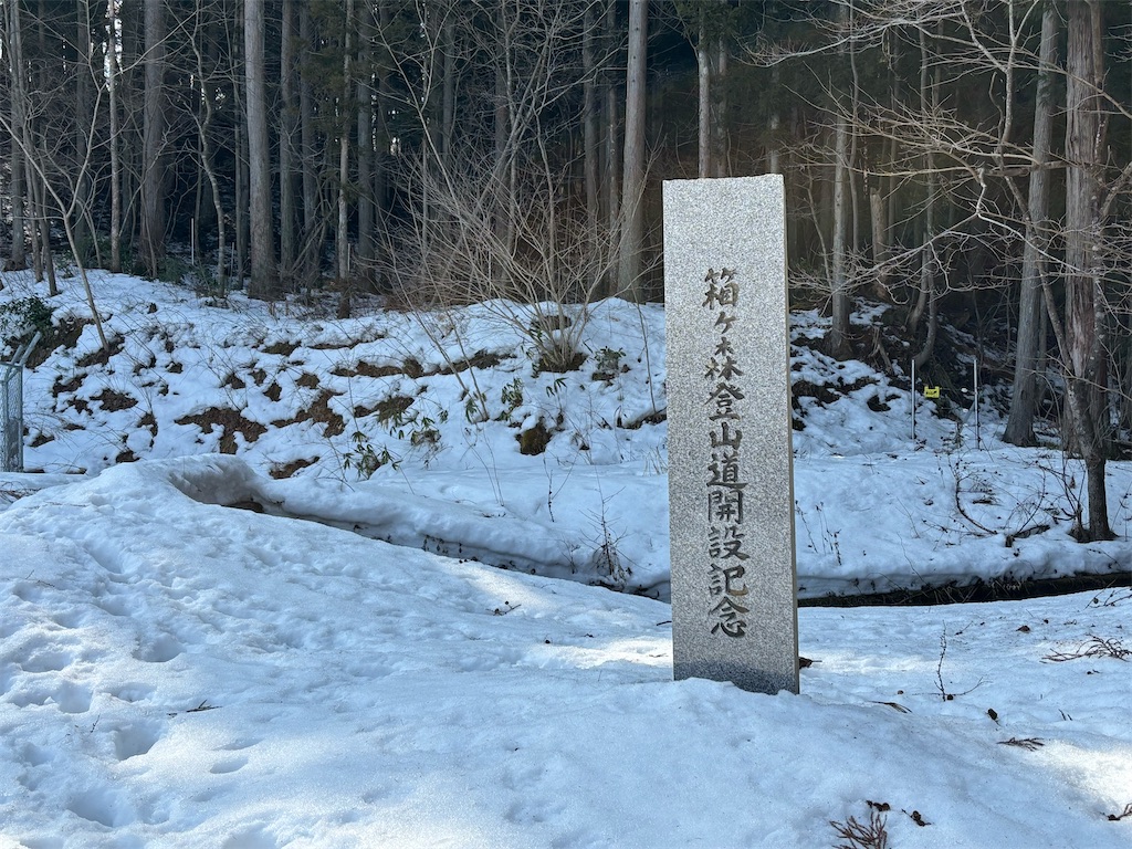 f:id:akibitokun:20250302161618j:image