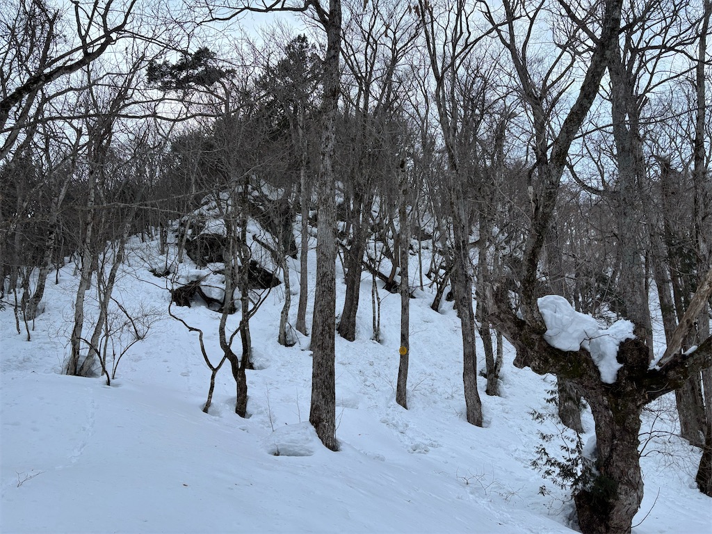 f:id:akibitokun:20250302161637j:image