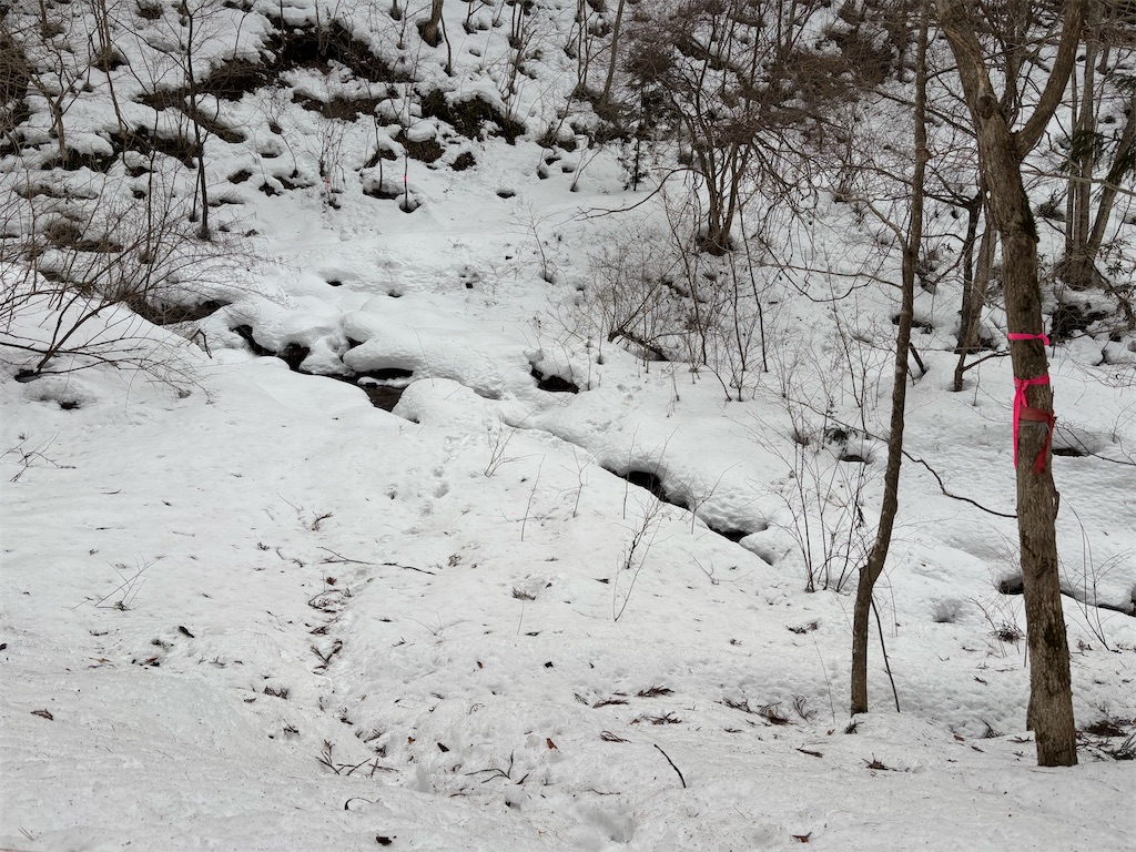 f:id:akibitokun:20250302164032j:image