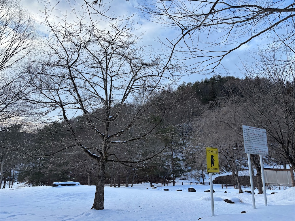 f:id:akibitokun:20260112111808j:image