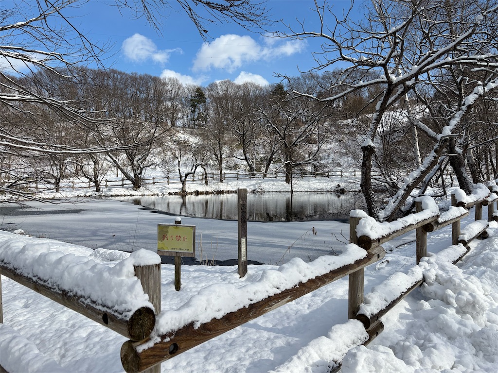 f:id:akibitokun:20260115222200j:image