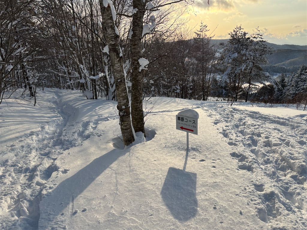 f:id:akibitokun:20260119211621j:image