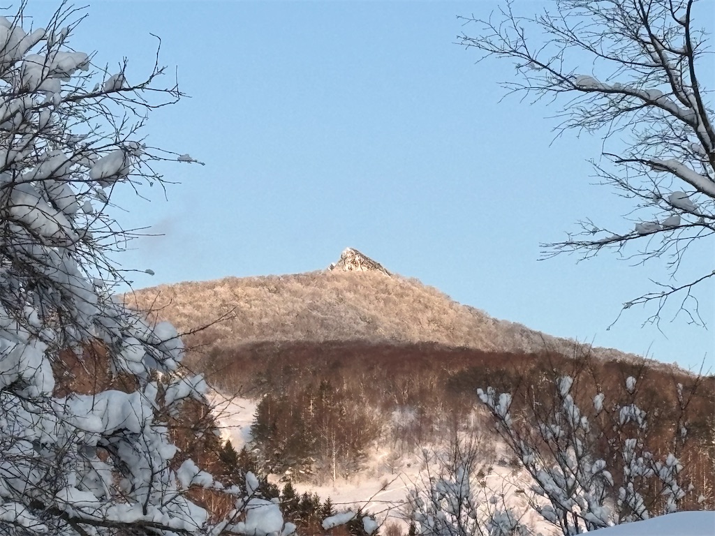 f:id:akibitokun:20260119211627j:image