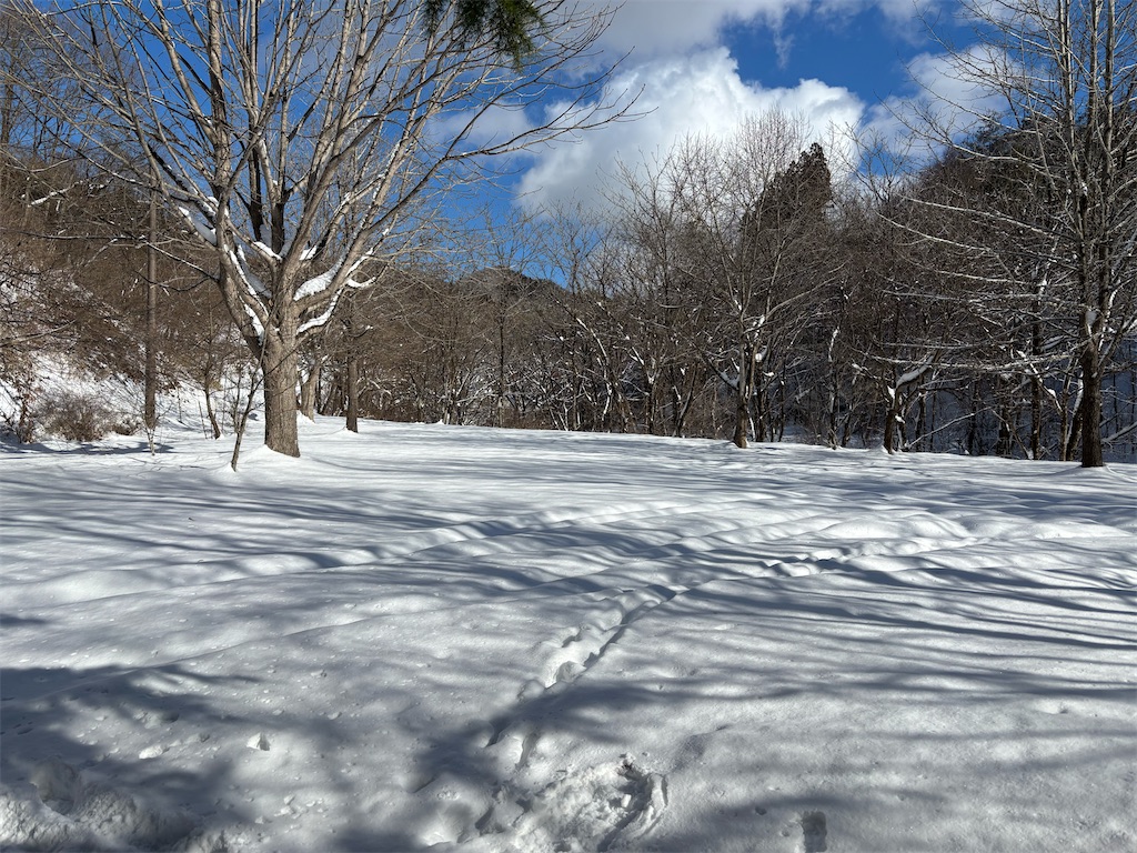 f:id:akibitokun:20260123213835j:image
