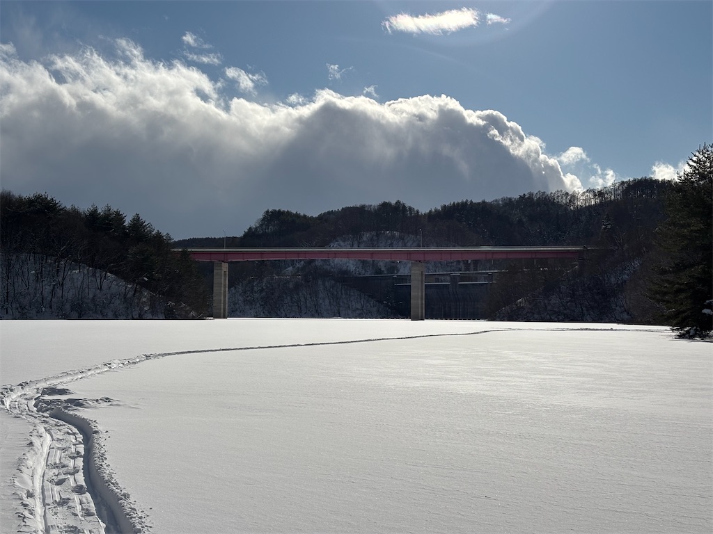 f:id:akibitokun:20260123214200j:image