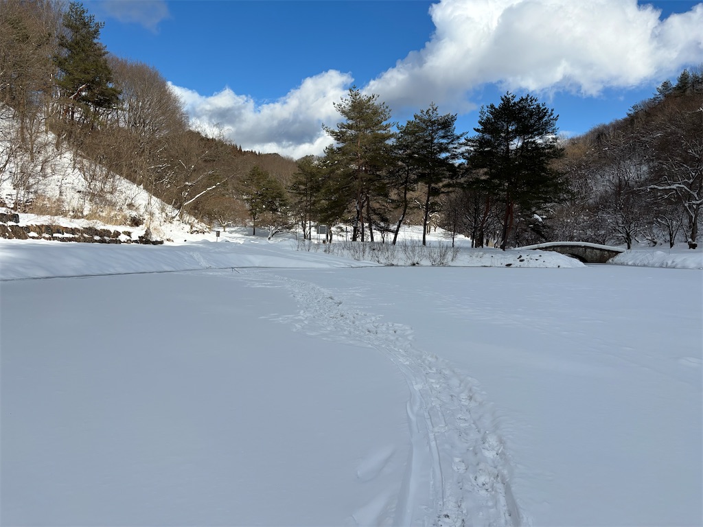 f:id:akibitokun:20260123214211j:image