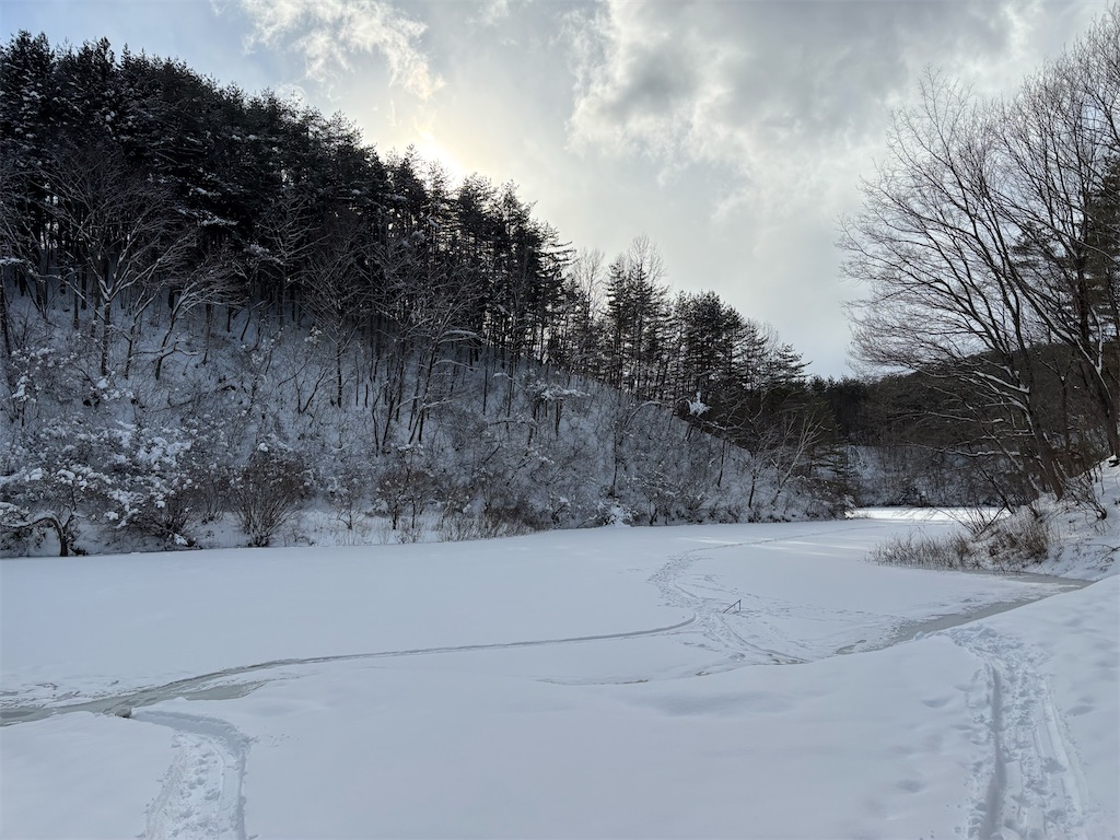 f:id:akibitokun:20260123214309j:image