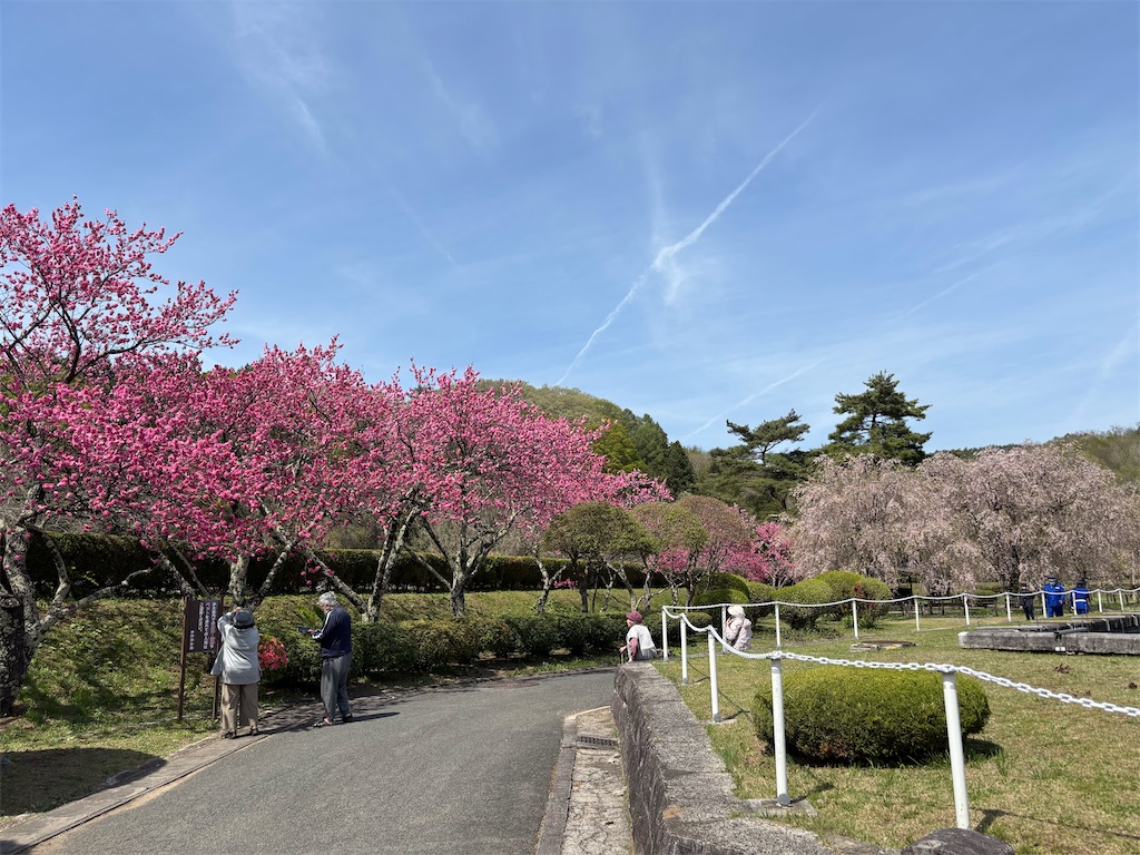 f:id:akibitokun:20260501200049j:image