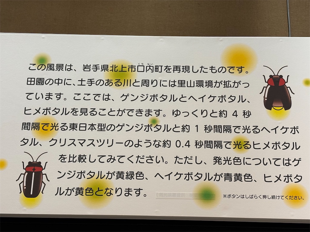 f:id:akibitokun:20260720165547j:image