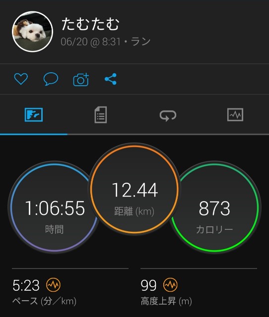 Nike パンツ Fleece Jdi Pants Men S パンツ 国内発送 Nike Nsw Jdi Pants Men S 手数料安い