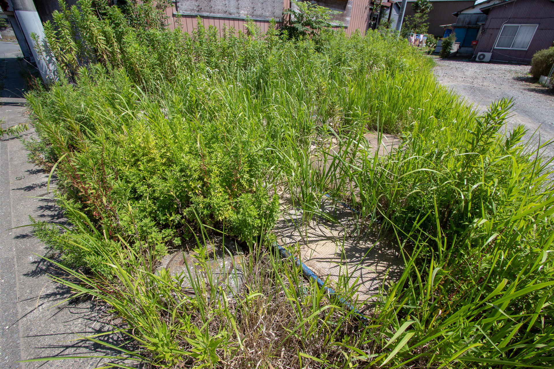 f:id:akichiniiko:20181015230352j:plain f:id:akichiniiko:20181015230352j:plain