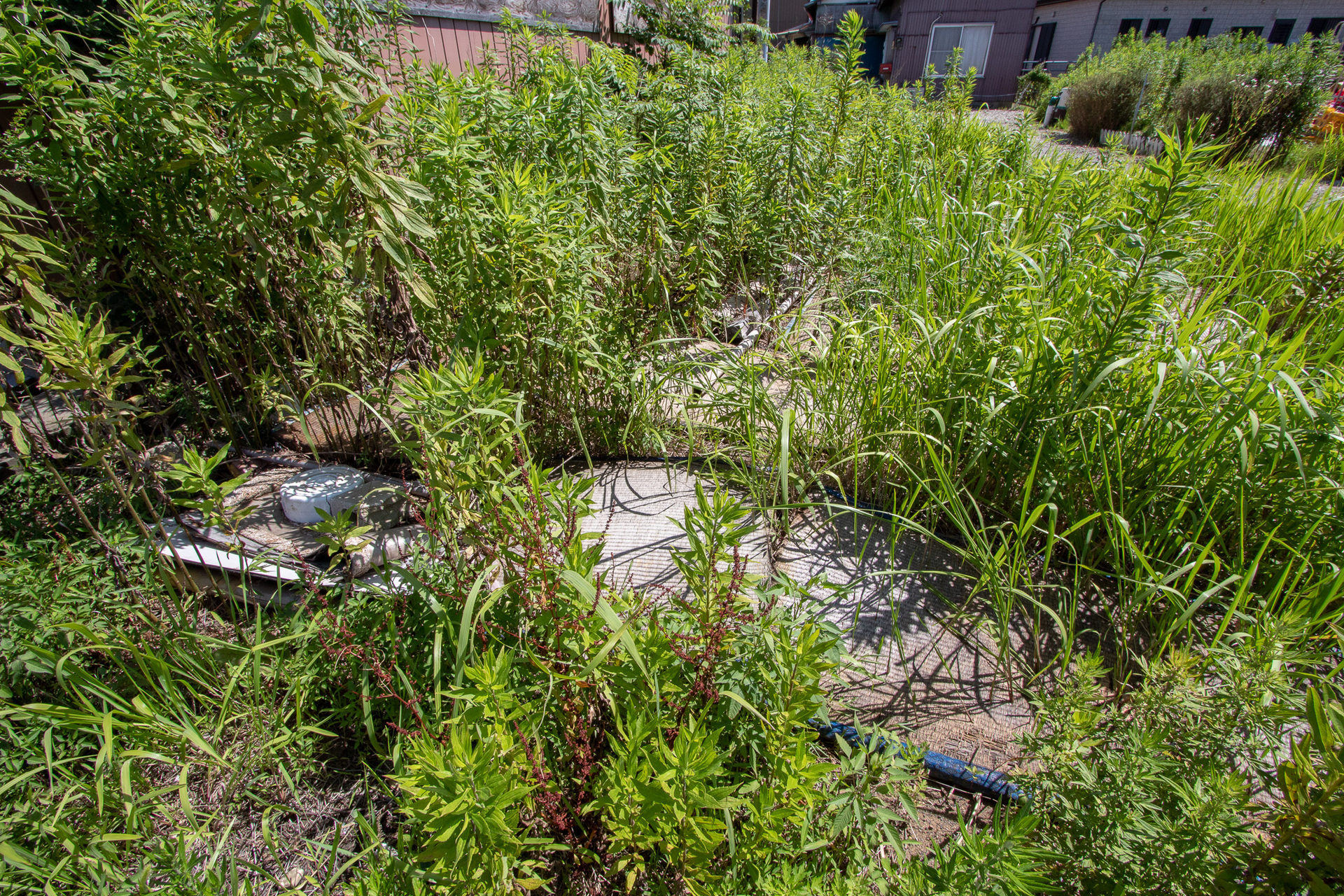 f:id:akichiniiko:20181015230358j:plain