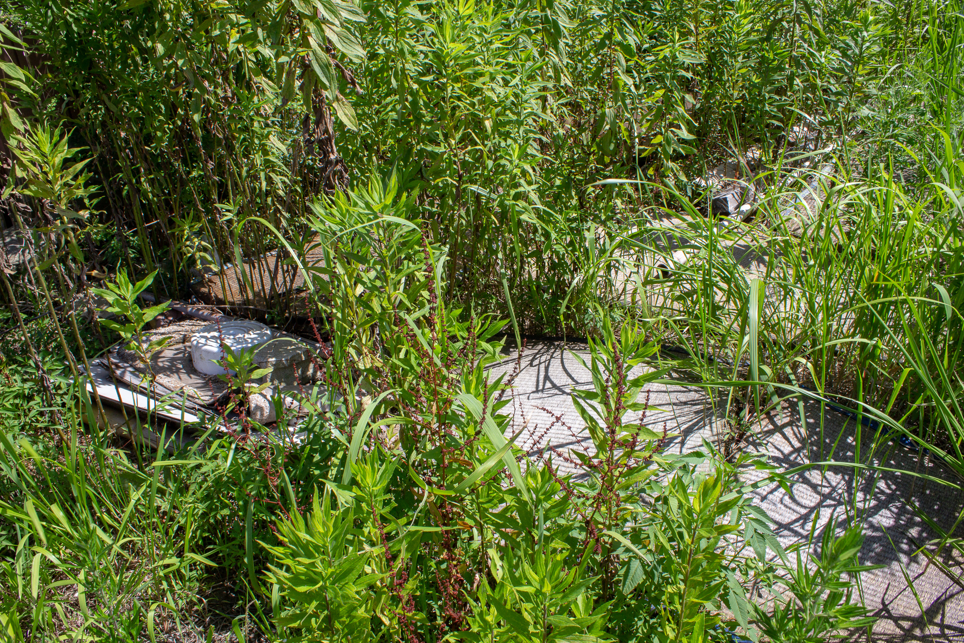 f:id:akichiniiko:20181015230534j:plain