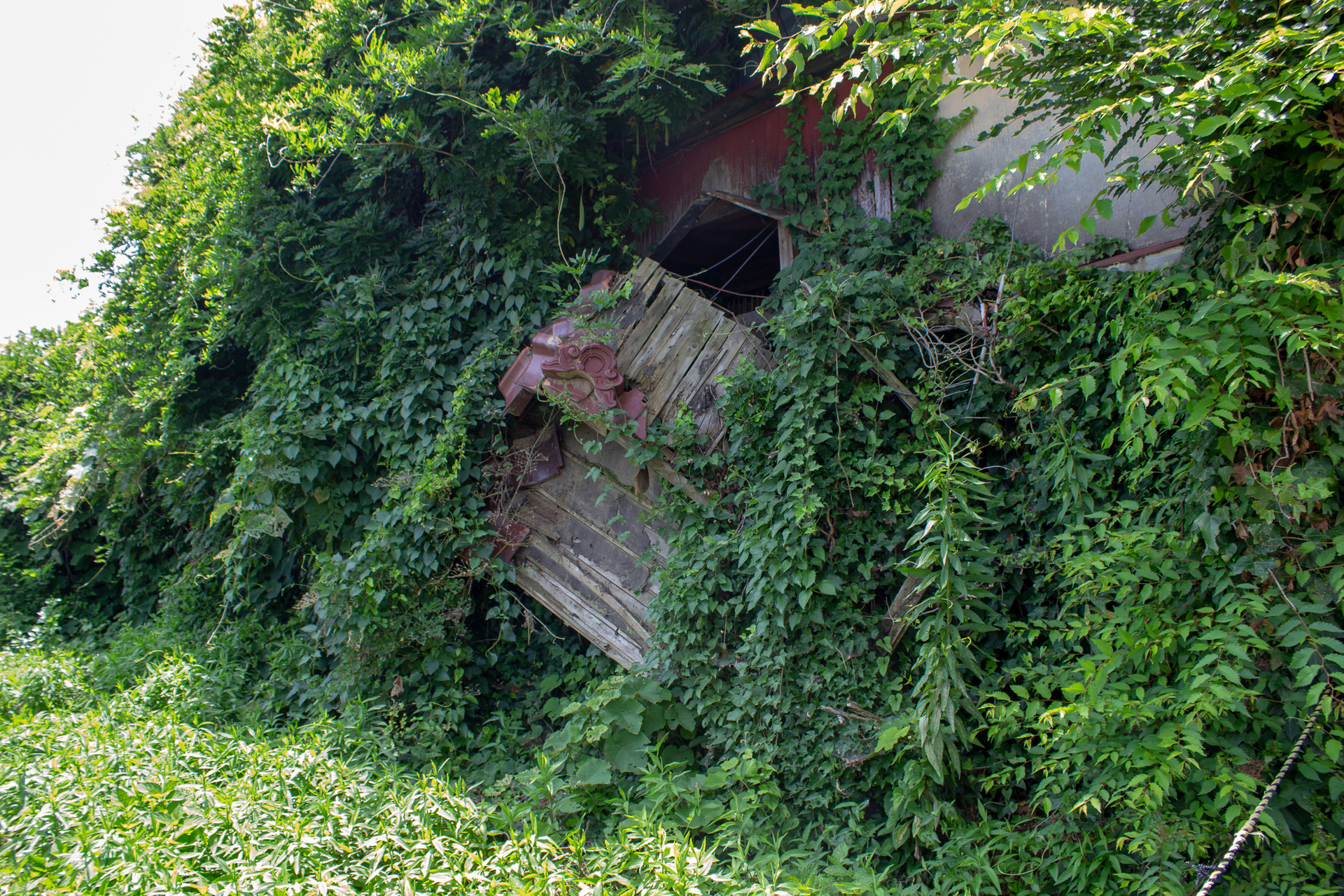 f:id:akichiniiko:20181023143325j:plain