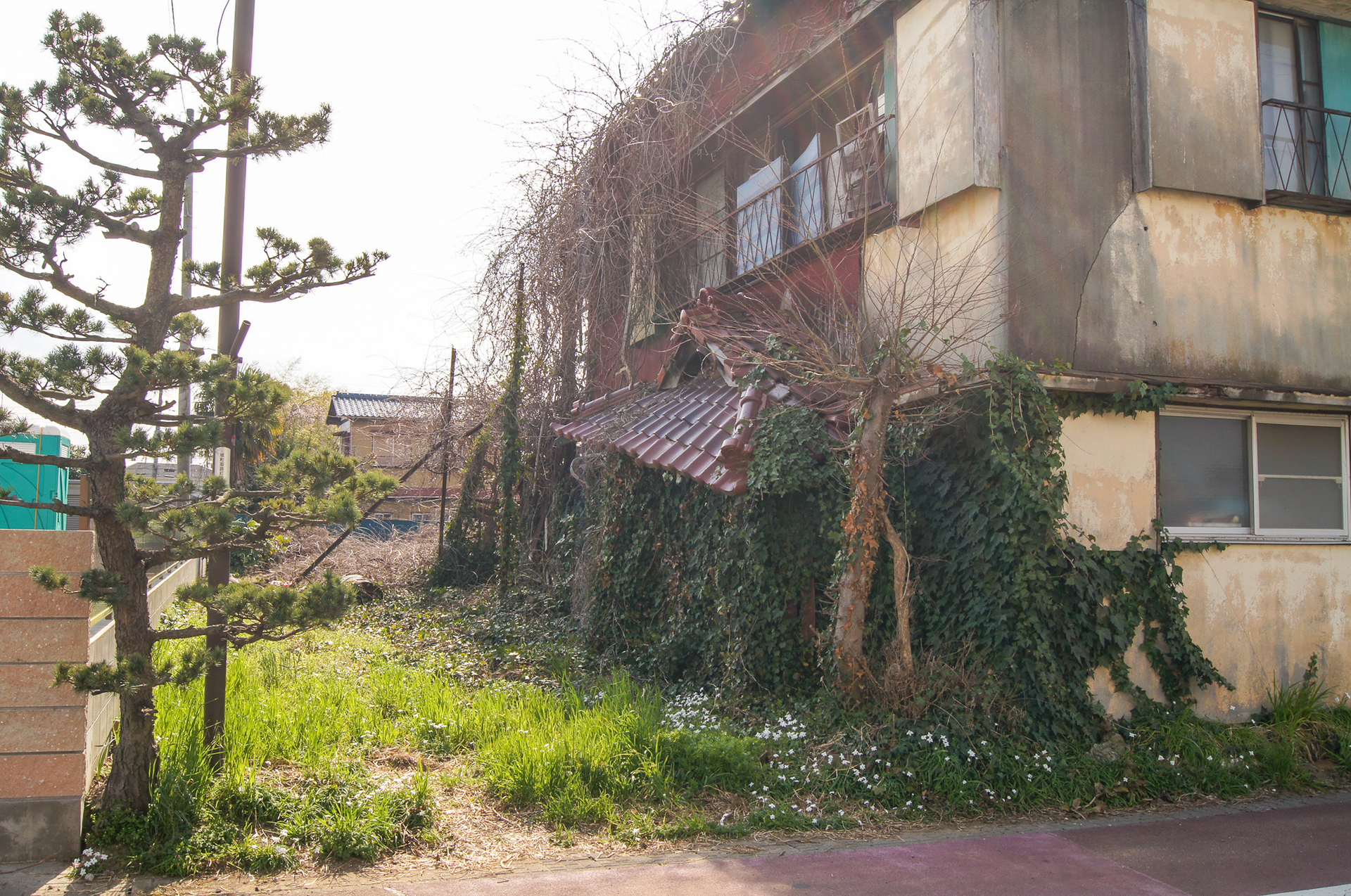 f:id:akichiniiko:20181023145502j:plain