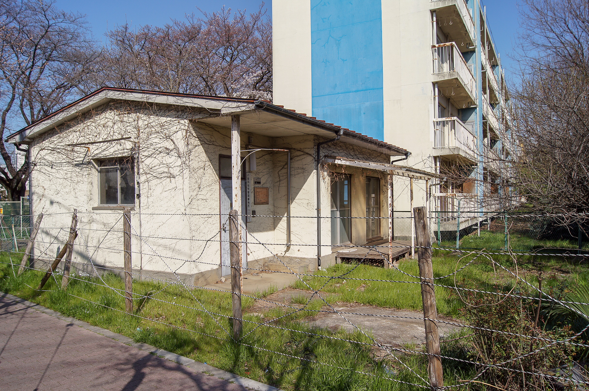 f:id:akichiniiko:20181103174743j:plain