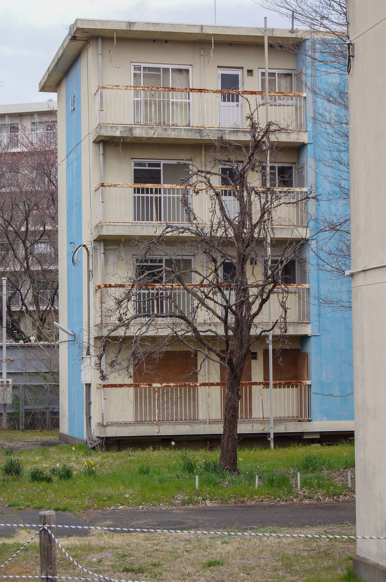 f:id:akichiniiko:20181103175250j:plain f:id:akichiniiko:20181103175250j:plain