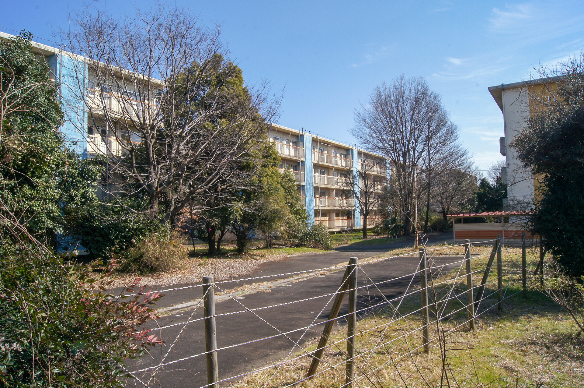 f:id:akichiniiko:20181103213312j:plain f:id:akichiniiko:20181103213312j:plain