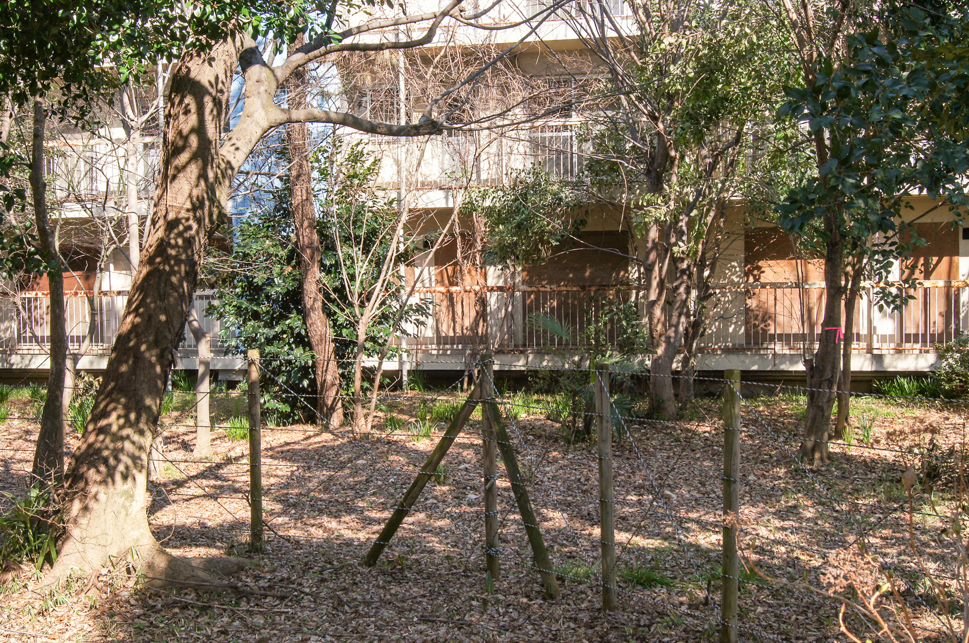 f:id:akichiniiko:20181103213414j:plain f:id:akichiniiko:20181103213414j:plain