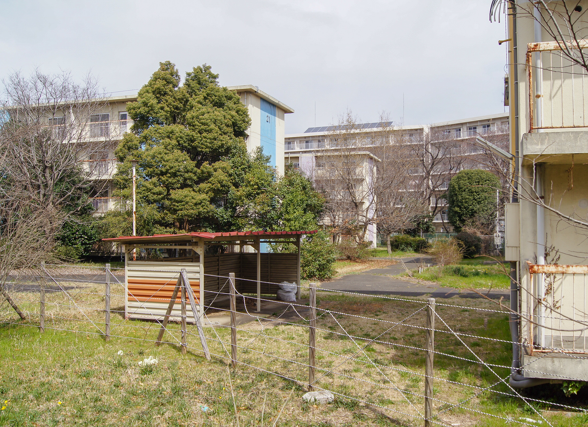 f:id:akichiniiko:20181107143444j:plain