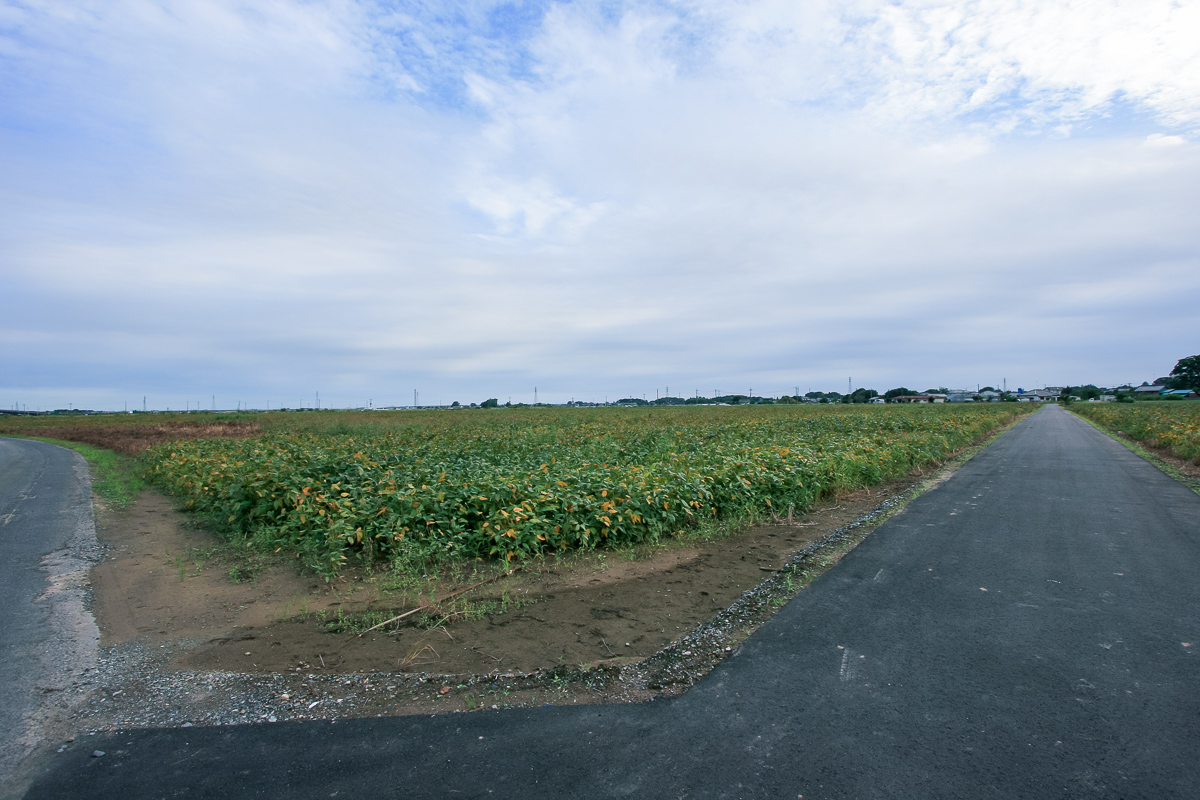 f:id:akichiniiko:20191013193215j:plain f:id:akichiniiko:20191013193215j:plain