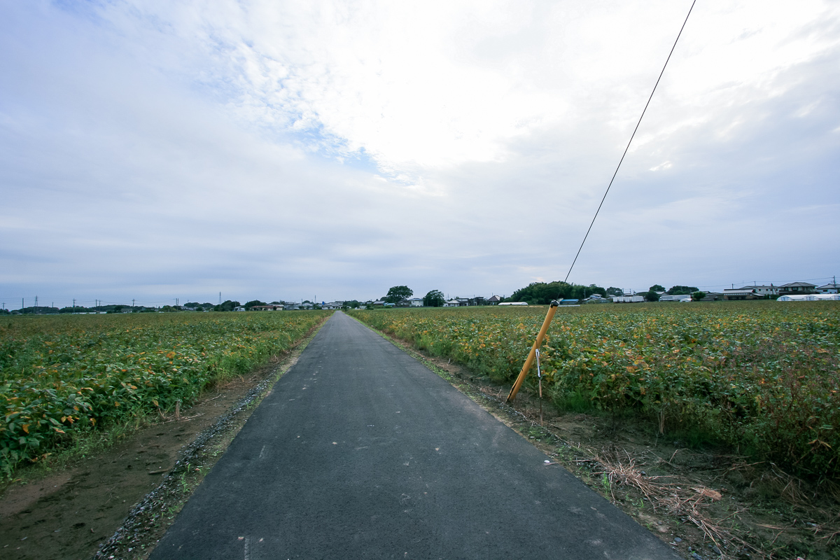 f:id:akichiniiko:20191013193359j:plain f:id:akichiniiko:20191013193359j:plain