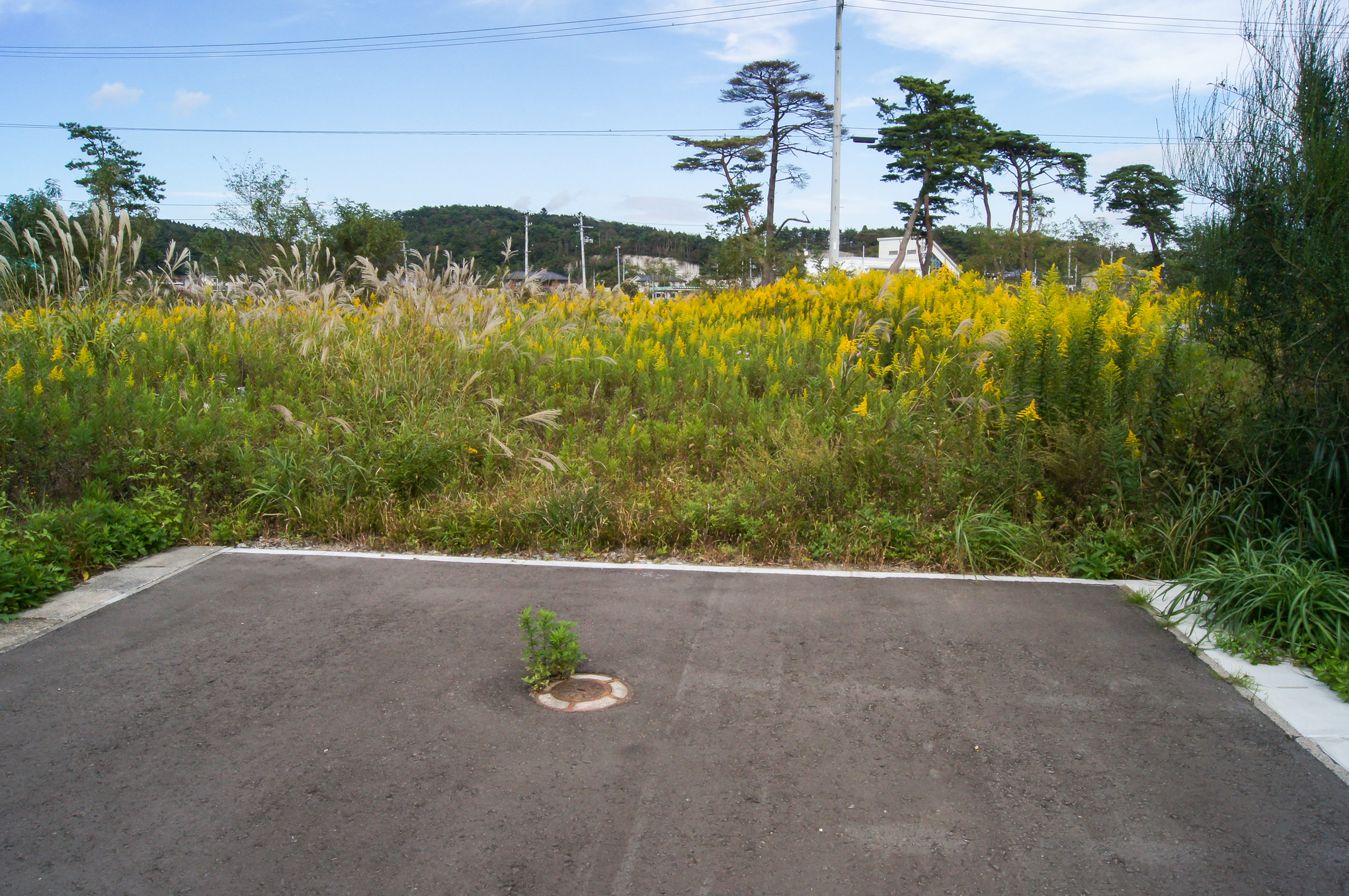 f:id:akichiniiko:20200607200453j:plain f:id:akichiniiko:20200607200453j:plain