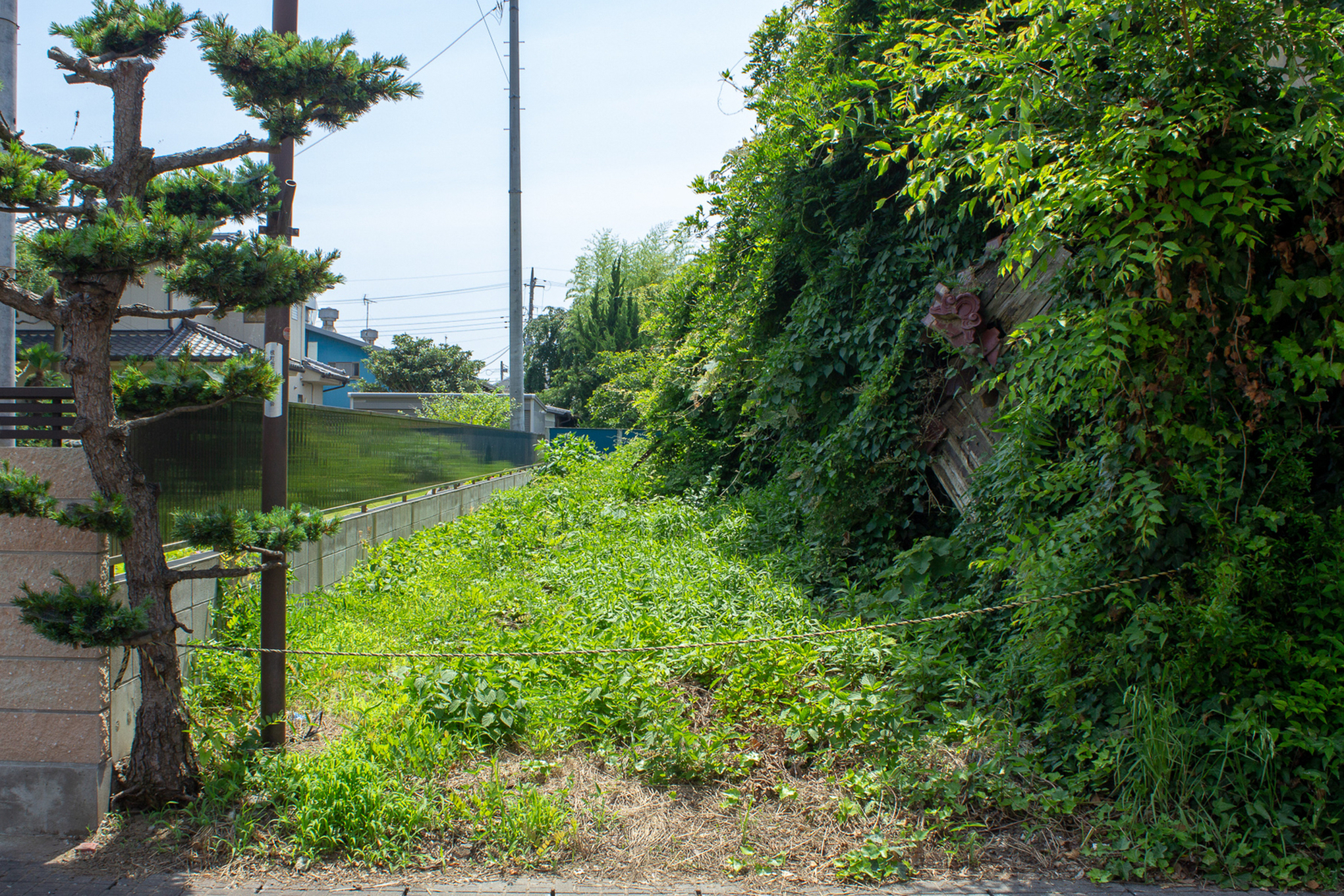 f:id:akichiniiko:20200914121320j:plain